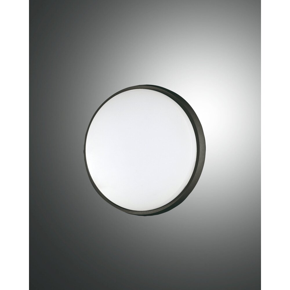 Fabas Luce Olly Aussendeckenleuchte LED Schwarz, 1-flammig main product photo