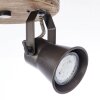 Brilliant Leuchten Seed Strahler Holz dunkel, Schwarz, 2-flammig