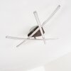Deneb Deckenleuchte LED Nickel-Matt, 3-flammig