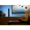 Philips Hue Ambiance White & Color Play Lightbar Doppelpack Basis-Set LED Schwarz, 2-flammig, Farbwechsler