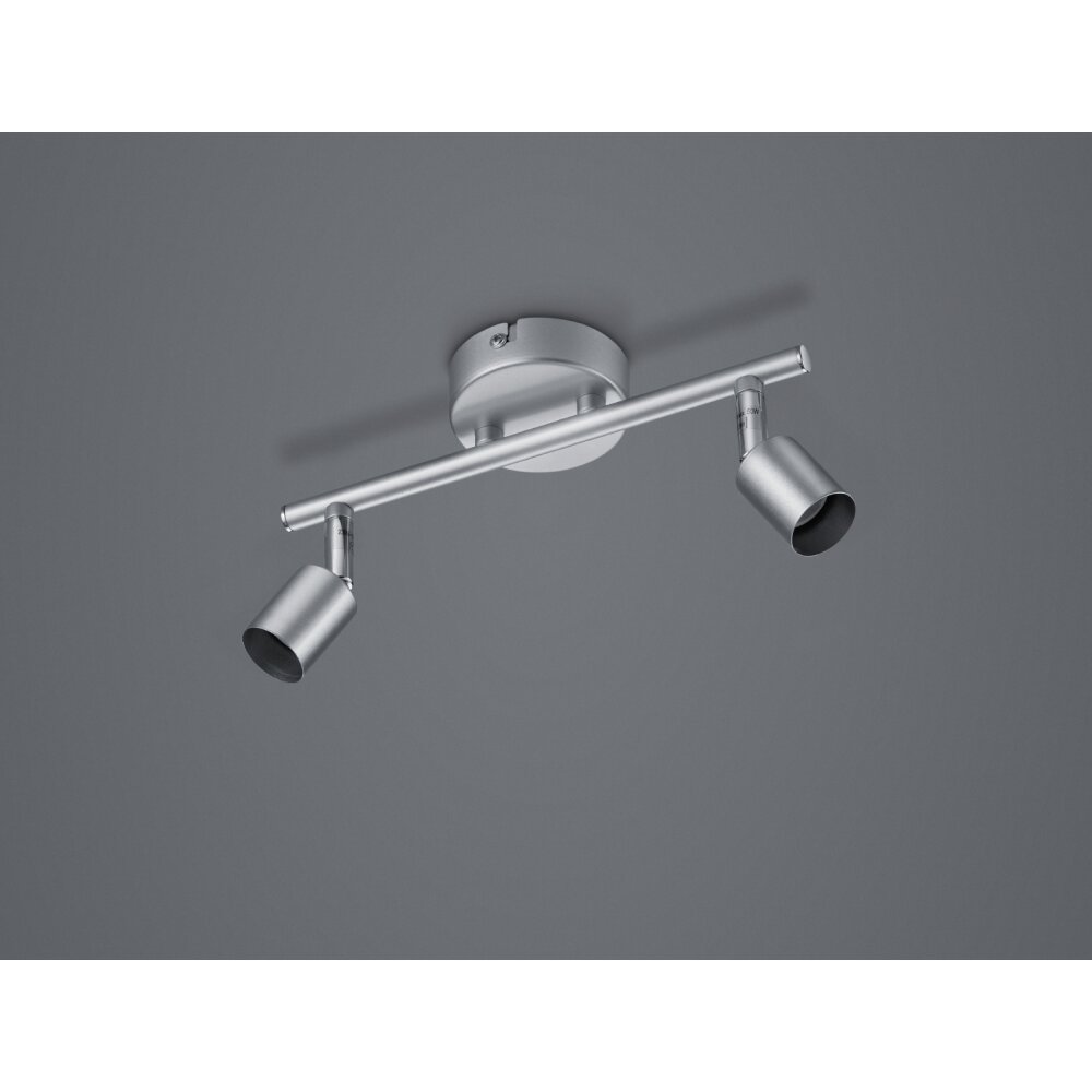 Reality PARIS Deckenleuchte Titan, 2-flammig main product photo