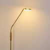 Gulkana Stehleuchte LED Gold, 1-flammig