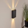 Benin Außenwandleuchte LED Schwarz, 2-flammig