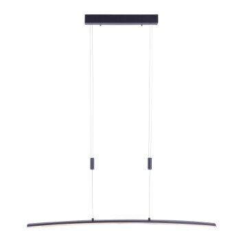 Paul Neuhaus JANINA Pendelleuchte LED Anthrazit, 1-flammig Paul Neuhaus JANINA Pendelleuchte LED Anthrazit, 1-flammig