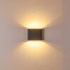 Tinglev Wandleuchte LED Anthrazit, 2-flammig