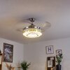 Bendigo Deckenventilator LED Nickel-Matt, Transparent, Klar, 1-flammig