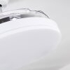 Bendigo Deckenventilator LED Chrom, Transparent, Klar, Weiß, 1-flammig