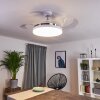 Bendigo Deckenventilator LED Chrom, Transparent, Klar, Weiß, 1-flammig