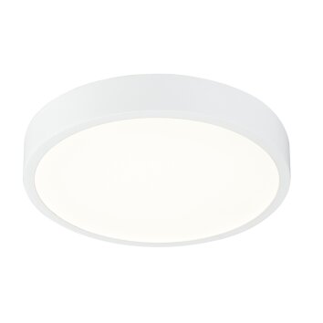 Globo ARCHIMEDES Deckenleuchte LED Glas, 1-flammig