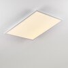 Salmi Deckenpanel LED Aluminium, Weiß, 1-flammig