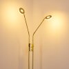 Gulkana Stehleuchte LED Gold, 2-flammig
