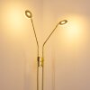 Gulkana Stehleuchte LED Gold, 2-flammig