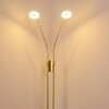 Gulkana Stehleuchte LED Gold, 2-flammig