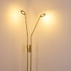 Gulkana Stehleuchte LED Gold, 2-flammig