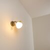 Peccia Wandleuchte Grau, 1-flammig