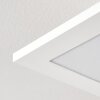 Antria Deckenleuchte LED Weiß, 1-flammig Antria Deckenleuchte LED Weiß, 1-flammig