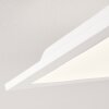 Antria Deckenleuchte LED Weiß, 1-flammig Antria Deckenleuchte LED Weiß, 1-flammig
