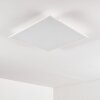 Antria Deckenleuchte LED Weiß, 1-flammig Antria Deckenleuchte LED Weiß, 1-flammig