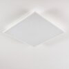 Antria Deckenleuchte LED Weiß, 1-flammig Antria Deckenleuchte LED Weiß, 1-flammig