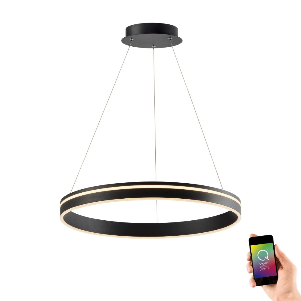 Paul Neuhaus Q-VITO Pendelleuchte LED Anthrazit, 1-flammig, Fernbedienung main product photo