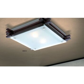 Globo EDISON Deckenleuchte Klar, 2-flammig