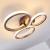 Volonne Deckenleuchte LED Edelstahl, Silber, 3-flammig