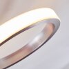 Volonne Deckenleuchte LED Edelstahl, Silber, 3-flammig
