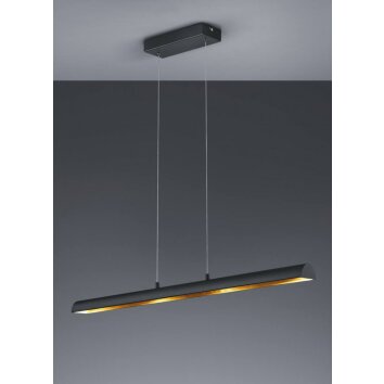 Trio Leuchten RAMIRO Pendelleuchte LED Schwarz, 4-flammig