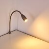 Alsea Bettleuchte LED Nickel-Matt, 1-flammig, Bewegungsmelder