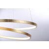 Paul Neuhaus ROMAN Pendelleuchte LED Gold, 1-flammig