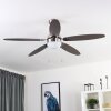 Valeria Deckenventilator Chrom, Holz hell, Nickel-Matt, 1-flammig