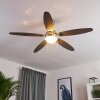 Valeria Deckenventilator Chrom, Holz hell, Nickel-Matt, 1-flammig