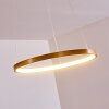 Canisteo Hängeleuchte LED Gold, 1-flammig