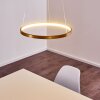 Canisteo Hängeleuchte LED Gold, 1-flammig