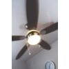 Globo AZURA Ventilator Nickel-Matt, 1-flammig