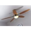 Globo AZURA Ventilator Nickel-Matt, 1-flammig