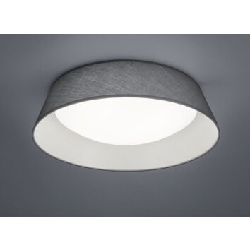 Reality PONTS Deckenleuchte LED Grau, 1-flammig