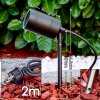 Froslev Gartenspieß LED Schwarz, 1-flammig Froslev Gartenspieß LED Schwarz, 1-flammig
