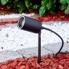 Froslev Gartenspieß LED Schwarz, 1-flammig Froslev Gartenspieß LED Schwarz, 1-flammig