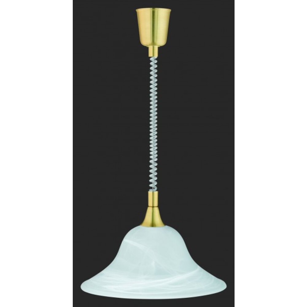 Trio Leuchten VIOLA Pendelleuchte Messing, 1-flammig main product photo