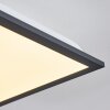 Salmi Deckenpanel LED Schwarz, Weiß, 1-flammig