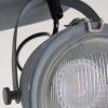 Steinhauer Mexlite Deckenleuchte Grau, 2-flammig