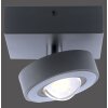 Paul Neuhaus Q-MIA Deckenleuchte LED Anthrazit, 1-flammig, Fernbedienung