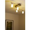 Trio Leuchten CLAPTON Deckenleuchte LED Aluminium, Chrom, Edelstahl, 4-flammig Trio Leuchten CLAPTON Deckenleuchte LED Aluminium, Chrom, Edelstahl, 4-flammig