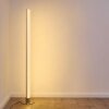 Pipe RGB Stehlampe LED Nickel-Matt, 1-flammig, Fernbedienung, Farbwechsler