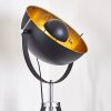 Jupiter Stehlampe Schwarz-Gold, 1-flammig