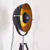 Jupiter Stehlampe Schwarz-Gold, 1-flammig