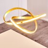 Woyens Pendelleuchte LED Gold, 1-flammig