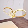 Woyens Pendelleuchte LED Gold, 1-flammig