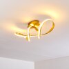 Woyens Deckenleuchte LED Gold, 1-flammig